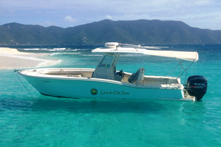 Lion In Da Sun Boat with Bimini Top